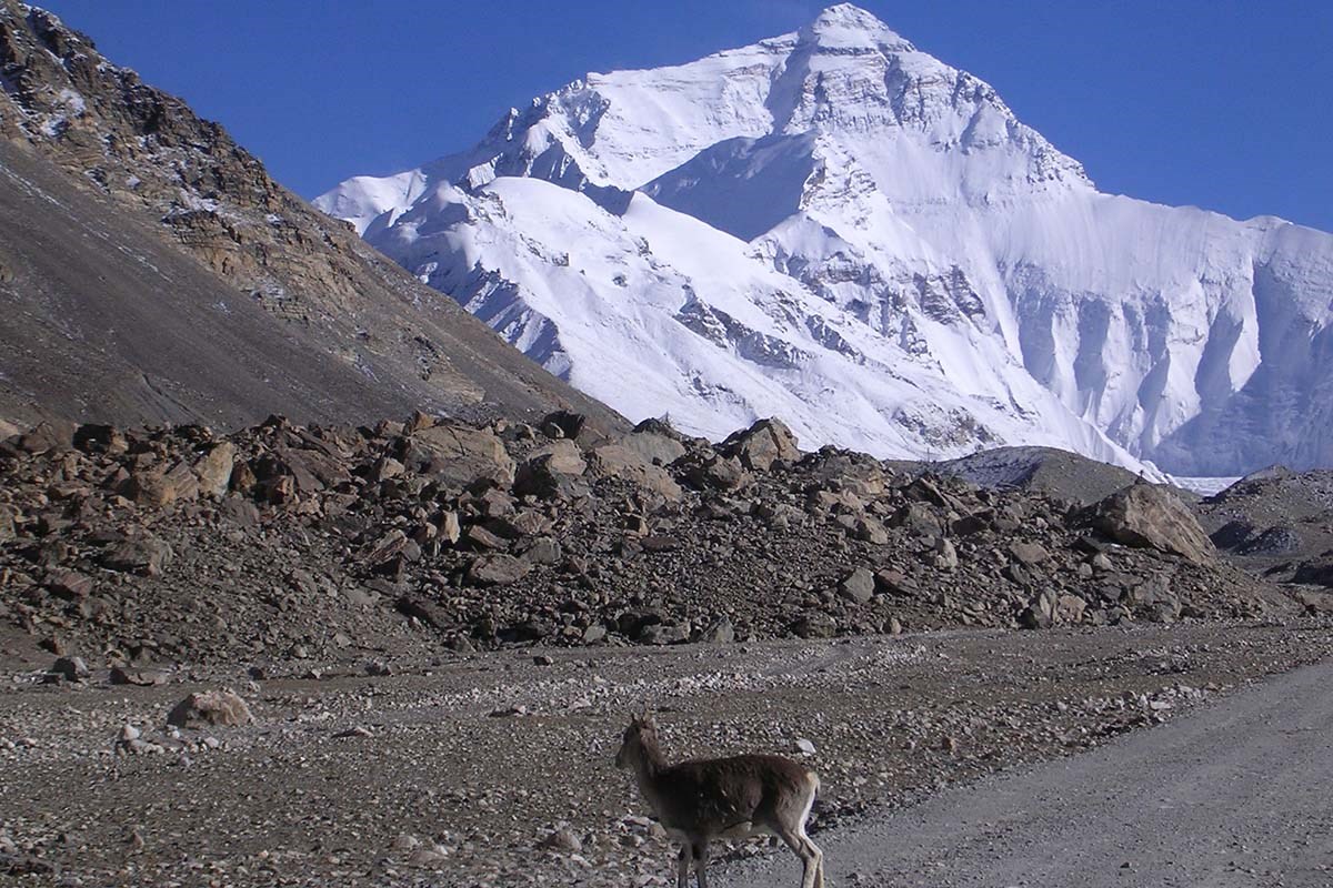 Qomolangma Nationales Naturschutzgebiet
