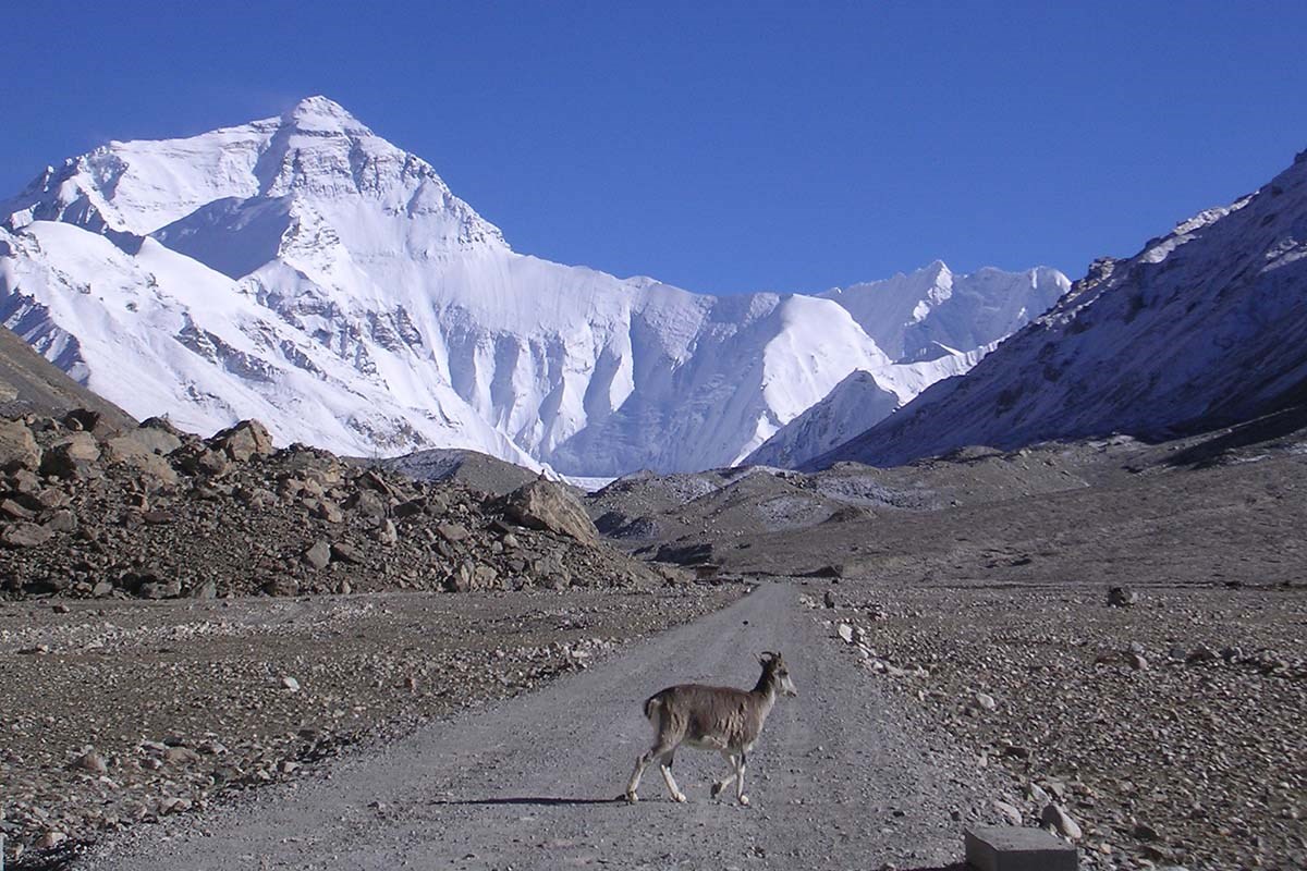 Qomolangma Nationales Naturschutzgebiet