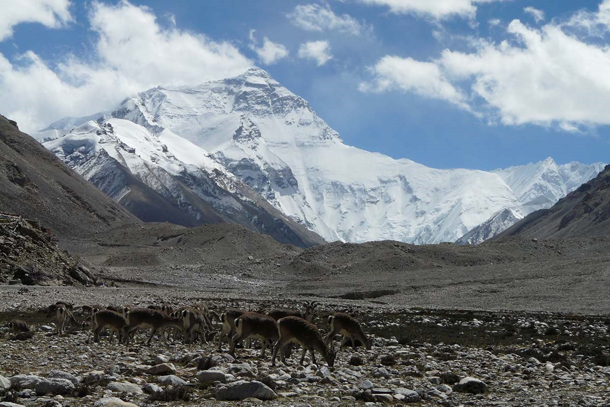 Qomolangma Nationales Naturschutzgebiet