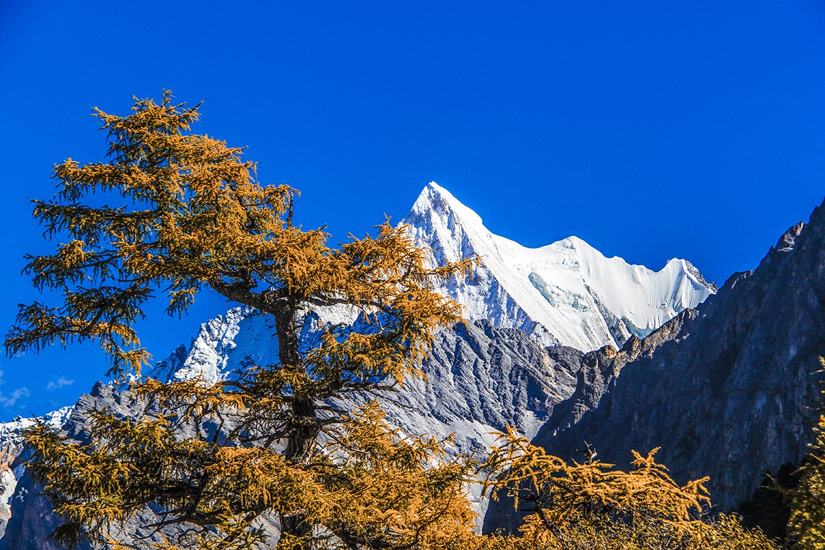 Xialuoduoji Mountain in Yading | Foto von Wang Lei