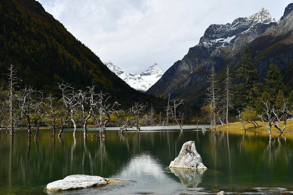  Foto von Liu Bin