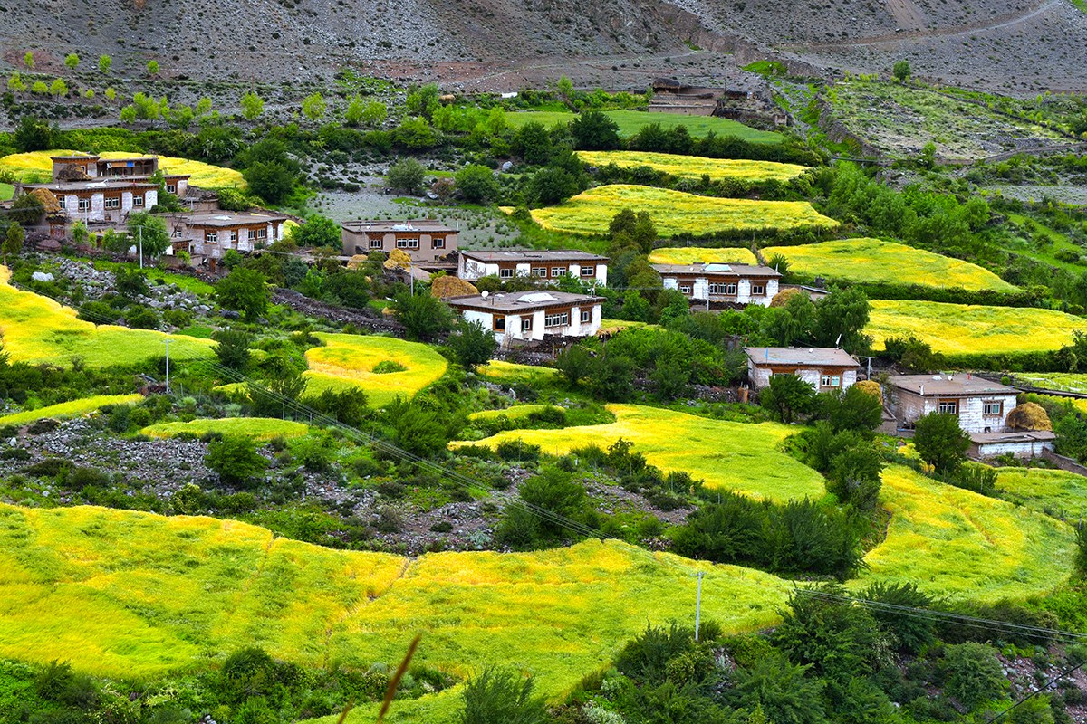 Landscape of Baxoi | Foto von Liu Bin