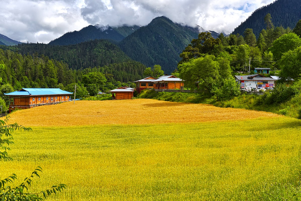 Landscape of Bome | Foto von Liu Bin